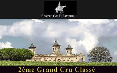 福智山ダム熟成 Medoc2級 高級赤ワイン FD125 シャトー コス デストゥルネル 750ml 1本 熟成ワイン ワイン 酒 お酒