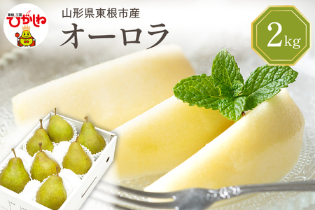 【令和7年産 先行予約】西洋梨オーロラ2kg 秀品　化粧箱入り　山形県 東根市 東根農産センター提供 hi027-187-1 オーロラ 洋梨 洋ナシ フルーツ 果物 くだもの 化粧箱 産地直送 期間限定 特産品 お取り寄せ グルメ 旬 秋 東北 山形県 東根市 送料無料