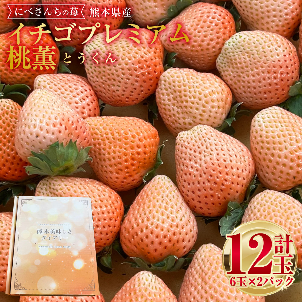 【ふるさと納税】にべさんちの苺 熊本県産 イチゴ プレミアム 桃薫(とうくん) 計12玉 6玉×2パック いちご 苺 果物 くだもの 果実 フルーツ 冷蔵 九州 熊本県 送料無料 【2026年2月上旬発送開始】