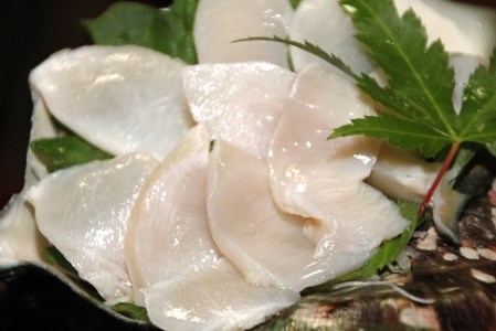 【2025年12月から発送】【真空冷凍】夜光貝の刺身500ｇ・冷凍ソデイカ500ｇセット