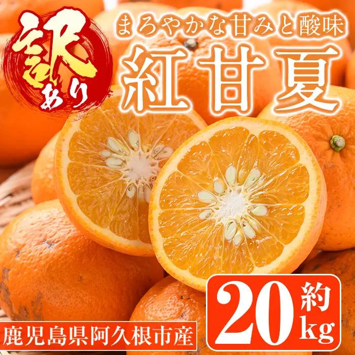 ＜先行予約受付中！2027年1月中旬以降順次発送予定＞訳あり紅甘夏(約20kg) 国産 鹿児島県 阿久根市 果実 果物 フルーツ 柑橘 紅甘夏 みかん ミカン 期間限定 数量限定【桐野柑橘株式会社】a