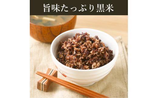定期便 6ヶ月 ご飯パック 金賞 健康米 玄米・黒米  120g×12個入り 国産 レンチン もち麦 軽食 夜食 簡単 白米 麦 食物繊維 ビタミン 御飯 ごはん パック ご飯 パックライス 