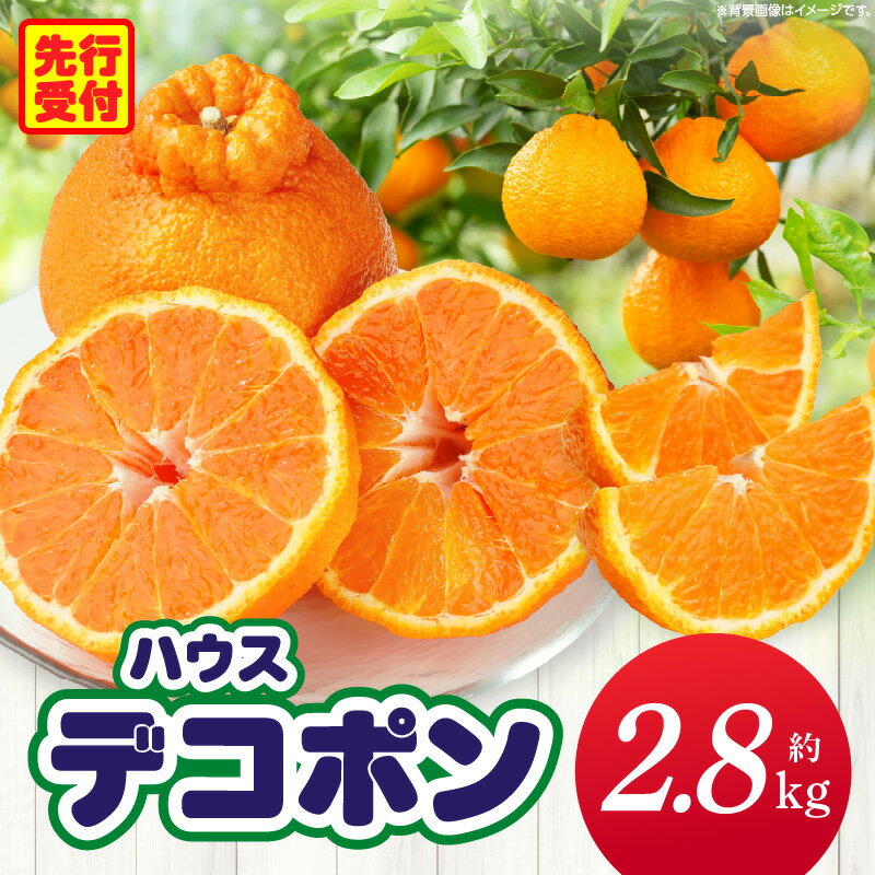 【ふるさと納税】ハウスデコポン　約2.8kg デコポン 甘い 酸味 柑橘 柑橘系 果物 フルーツ 青果 デザート グルメ おすすめ 贈答 贈り物 贈答用 ギフト プレゼント 特産品 特産 取り寄せ 香川県 三木町