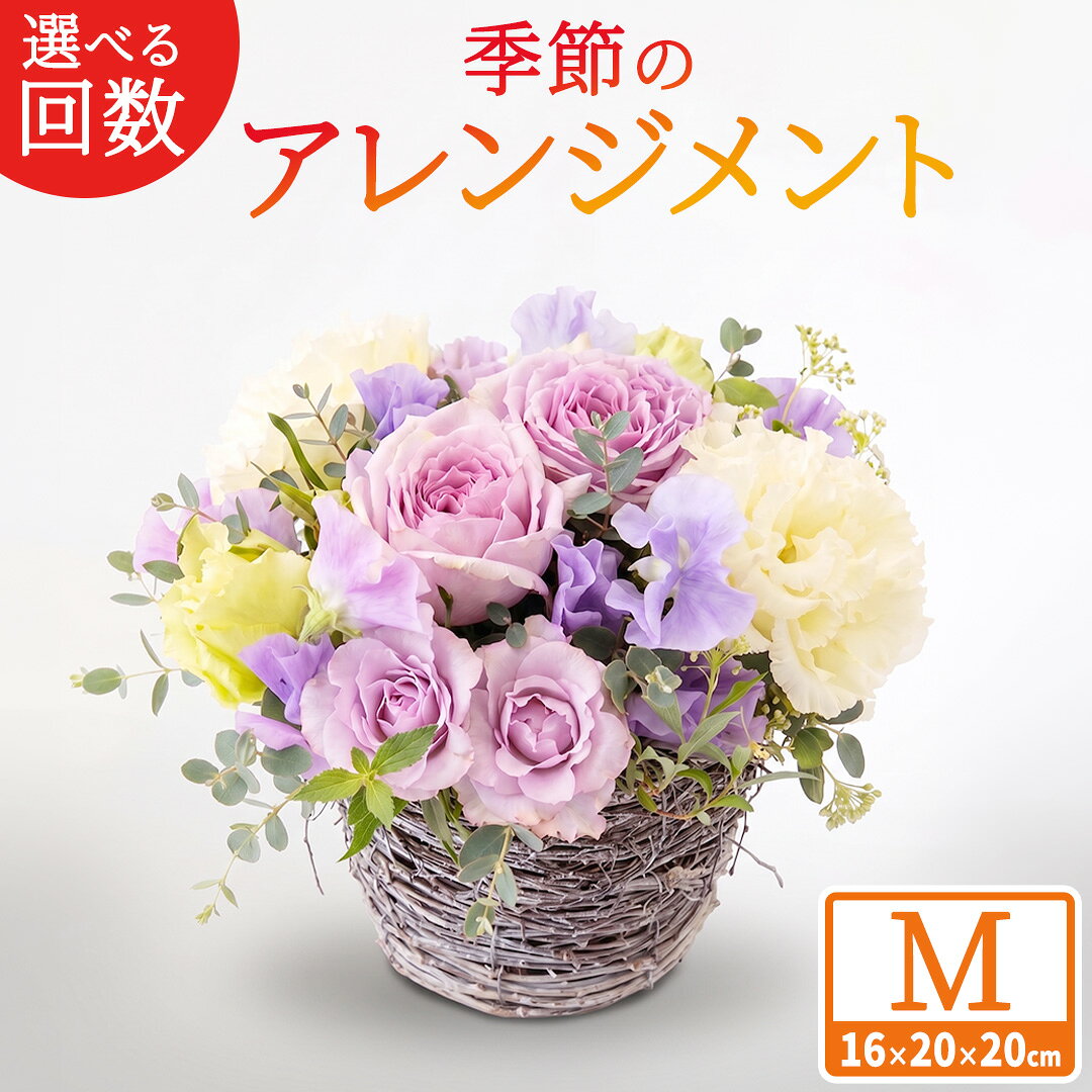 【ふるさと納税】【 選べる お届け 回数 】季節 の フラワー アレンジメント ＜ M ＞ 花 お花 季節の花 生花 3ヵ月 6ヶ月 12ヶ月 定期便　記念日 誕生日 自宅用 インテリア 部屋飾り 装飾 贈答 ギフトプレゼント おしゃれ 茨城県 城里町