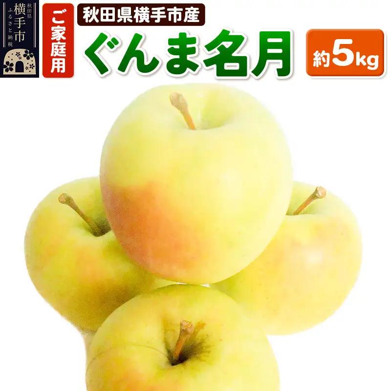 【先行受付 11月上旬より発送】希少品種！秋田県横手産 りんご ぐんま名月 ご家庭用 約5kg