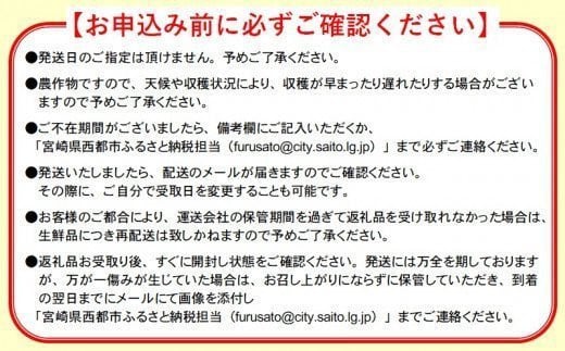 最高級完熟マンゴー『太陽のタマゴ』2Ｌ×2玉　西都市産【先行予約・数量限定】＜2-94＞2026年発送 果物 くだもの フルーツ 宮崎県西都市