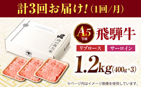 【3回定期便】飛騨牛サーロイン・リブロース 1.2kg(400g×3パック) すき焼きしゃぶしゃぶ用肉 / カルビ 牛肉 焼肉 / 御嵩町 / 馬力家[AVBO027]
