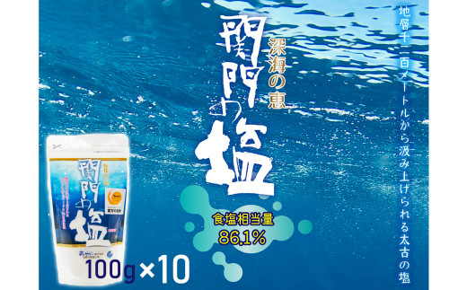 
深海の恵み 関門の塩 合計1000g (100g×10袋) ミネラル 塩 調味料 塩分濃度86.1％ カルシウム マグネシウム カリウム しお 少量 小分け
