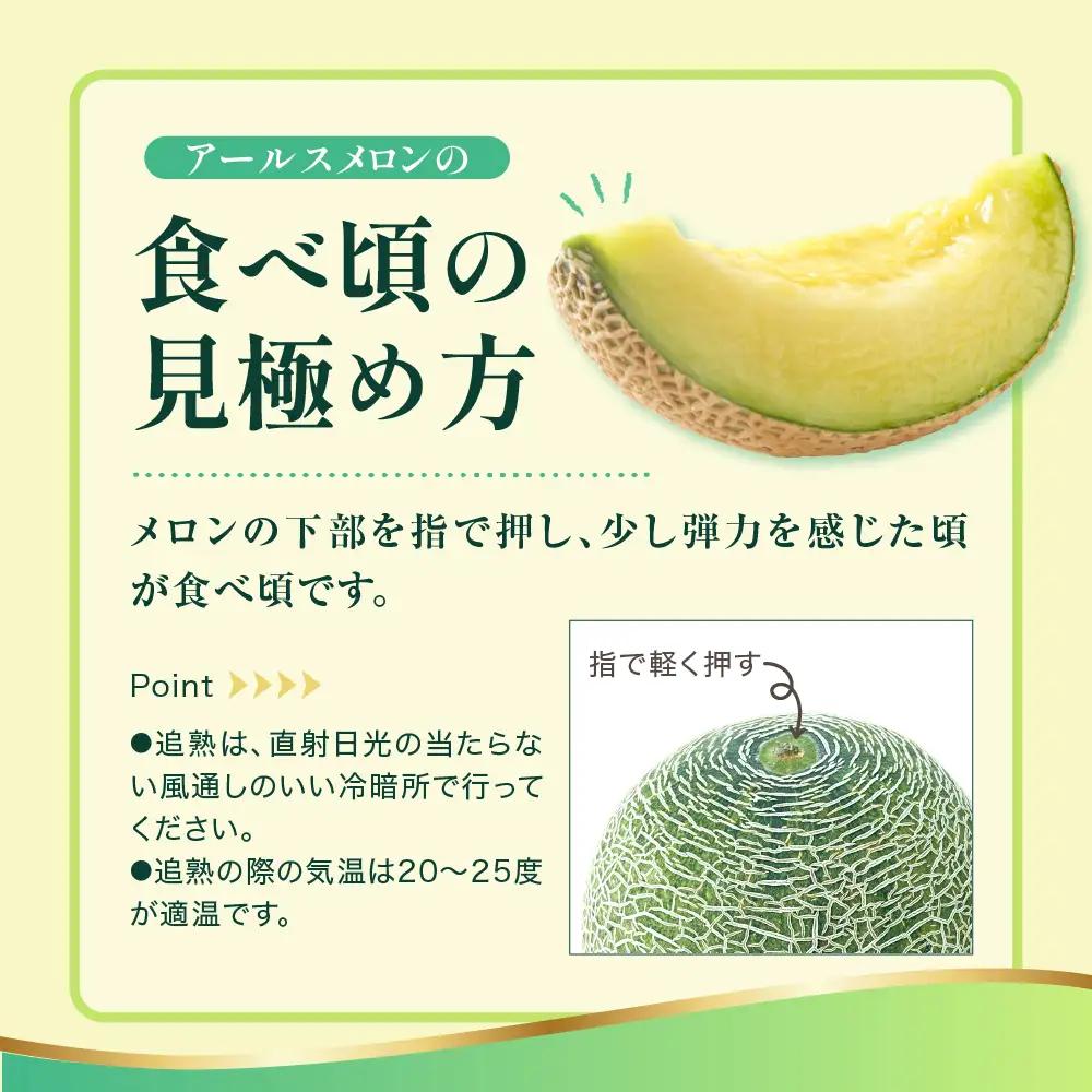 先行予約 令和8年産 温室メロン マスクメロン 2玉 約3～4kg