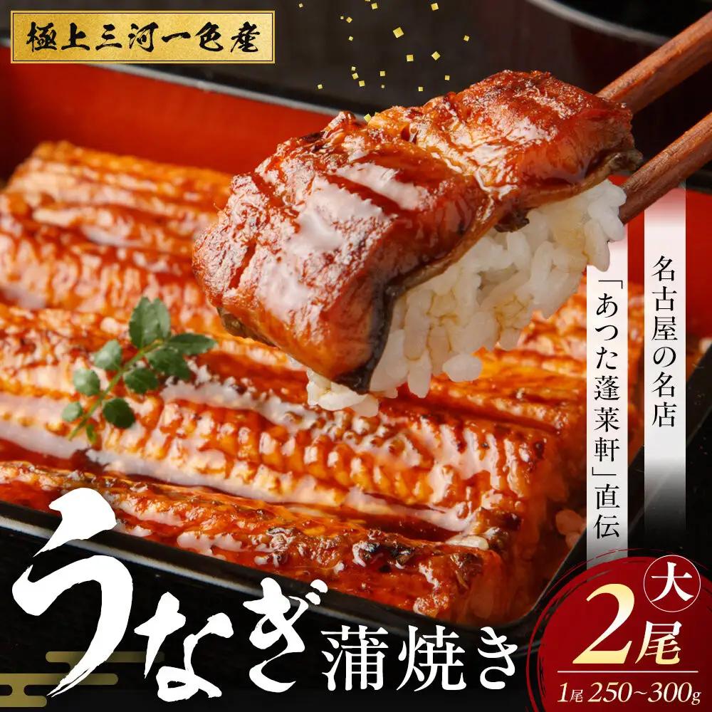 熱田蓬莱軒 直伝 うなぎ蒲焼 2尾 三河一色 うなぎ