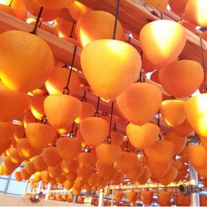 丸京農園だけの“逸品”美しい粉雪の「 干し富士柿 」(家庭用)【C72-6】【1445475】