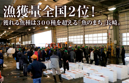 《定期便》丸富の切身干物詰め合わせ｢福｣(全6種13枚)【12回お届け】
