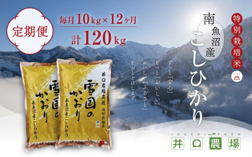 【令和6年産新米予約／令和6年10月上旬より順次発送】【定期便】１０kg×１２ヶ月　南魚沼産コシヒカリ 井口農場 こだわりの 特別栽培米