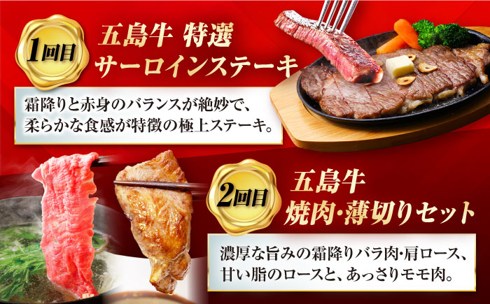【12回定期便】大満足！五島牛 ファミリー特撰コース 五島市/五島市ふるさと納税 [PZX030]