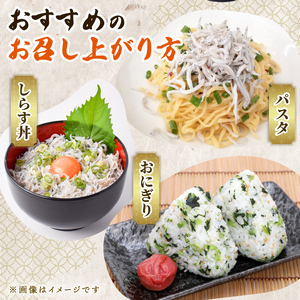 【旨味たっぷり！】 釜揚げしらす 400g 釜揚げしらす [松村海産 高知県 安芸市 BY001]