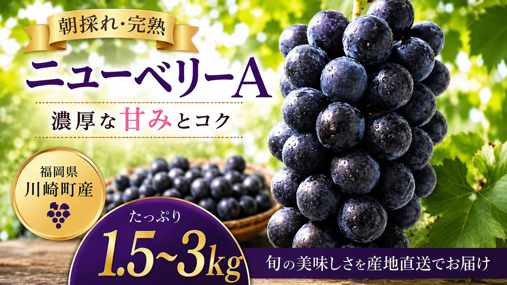 
                  【2026年8月下旬から発送】【先行予約】ニューベリーA 1.5kg 3kg 冷蔵 ぶどう 巨峰 旬 フルーツ 果物 くだもの 福岡県川崎町 竜円農園 先行予約 ぶどう 数量限定 ぶどう マスカットRYE003-oya
                