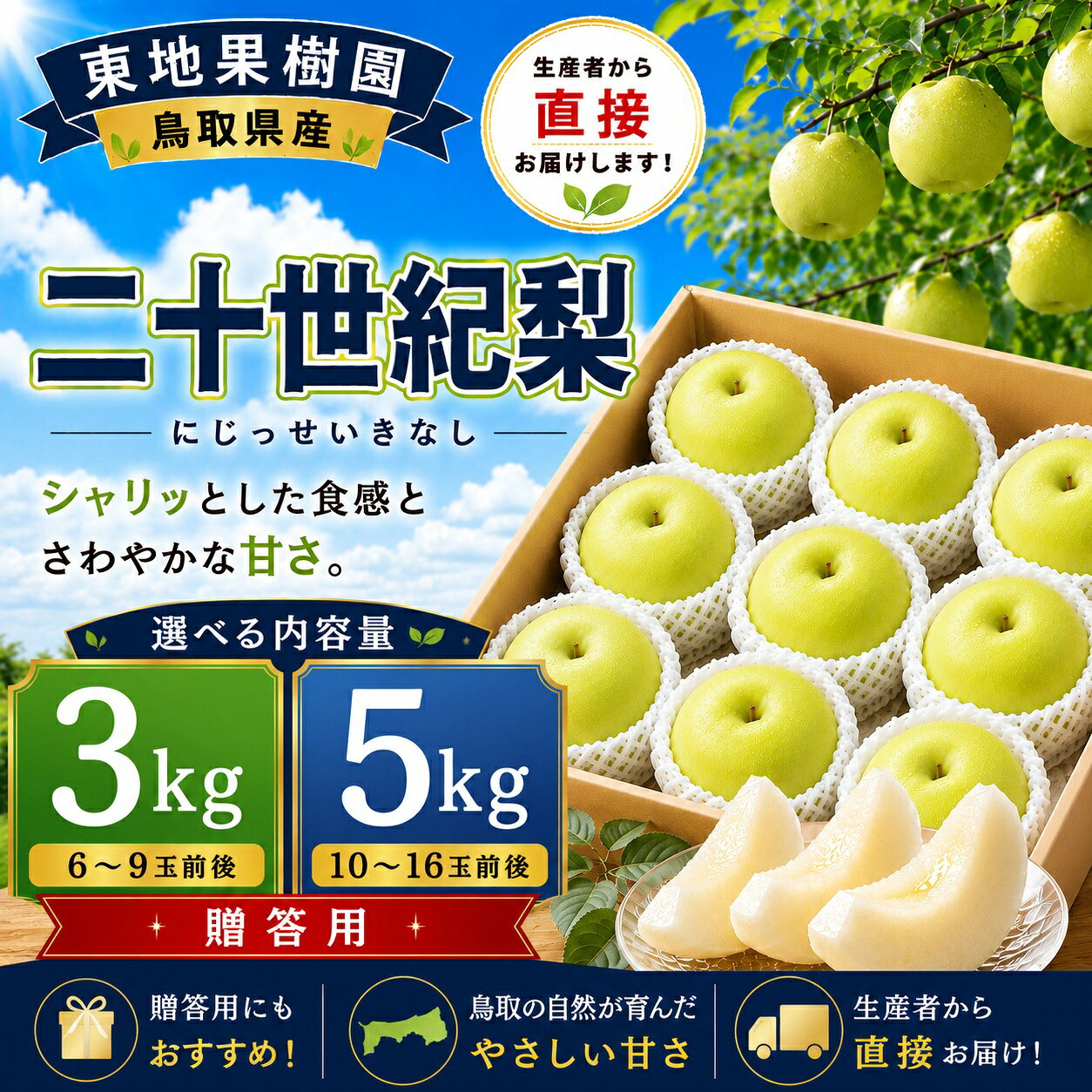 【ふるさと納税】【期間限定】梨 なし 二十世紀 3kg 5kg 鳥取県 名産 果物 フルーツ 特産品 ※8月下旬～9月上旬頃順次発送 選べる 内容量 オリジナル ブランド 先行予約 直送 新鮮 人気 定番 おすすめ 送料無料　進物 贈答 東地果樹園