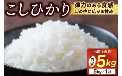 ＼新米 先行予約／11月発送予定 ★令和7年産★ 米 5kg 白米 精米 「コシヒカリ」山崎観光農園 栃木県 益子町 ふるさと納税 お米 こしひかり 白米 精米 5キロ 高評価 令和7年 先行予約 (AU014-11)
