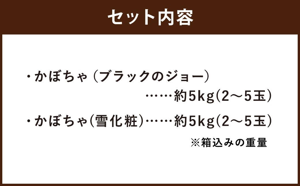 北海道産かぼちゃ（ブラックのジョー） 約5kg・北海道産かぼちゃ（雪化粧） 約5kgセット 山田農場