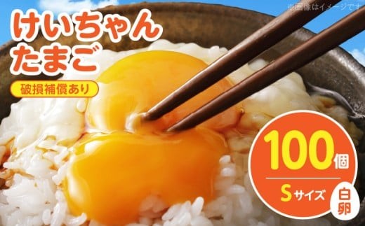 
            けいちゃんたまご　白　Sサイズ　100個 C00207
          