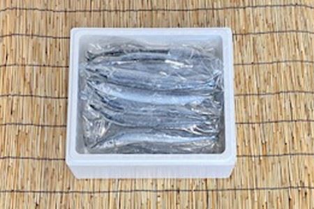 【北海道根室産】さんま5尾×12P(計60尾) D-76001