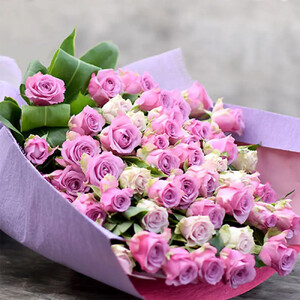 紫バラ70本【 薔薇  バラ 花 】