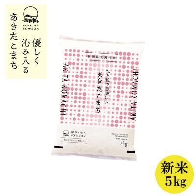 ふるさと納税 大潟村 秋田県産 予約受付開始!あきたこまち【令和7年産】無洗米5kg(5kg×1)《10月中旬より発送》