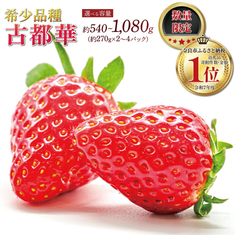 【ふるさと納税】 いちご ことか 約270g×2~4パック 先行予約 2027年発送 古都華 大粒 サイズ混合 数量限定 産地直送 春 旬 国産 冷蔵 イチゴ 苺 フルーツ 果物 小分け ブランドいちご 甘い おすすめ 贈答 プレゼント ギフト お歳暮 奈良県 奈良市 いちご農家だるま
