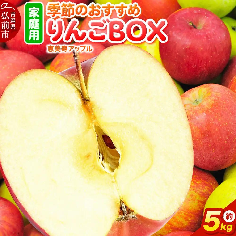 りんご 季節のおすすめBOX 家庭用 約5kg 9月発送 りんご