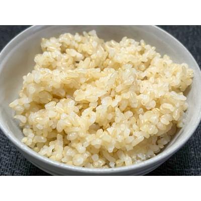 ふるさと納税 横手市 【令和7年産】金のいぶき 6kg(2kg×3袋)　玄米 |  | 01