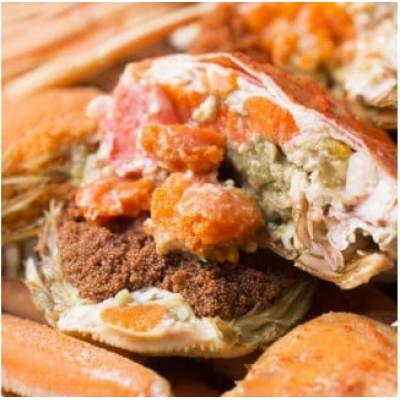 ふるさと納税 北栄町 【蒸し】足折れご自宅用　親ガニ(セコガニ)10枚 |  | 01