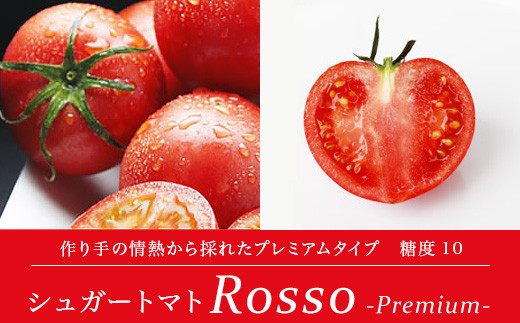 
                  【先行予約・2027年2月】シュガートマト ロッソプレミアム10 糖度10度以上 1kg 高知県産 フルーツトマト 高糖度トマト 甘いトマト 日高村 特産品 JA
                