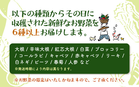 【先行予約】お野菜セット 旬の冬野菜と平飼い卵のお楽しみボックス【2025年12月上旬順次発送予定】【野菜 卵 セット 新鮮野菜 新鮮卵 詰め合わせ 農家直送 旬野菜 季節限定 旬の味覚 鍋 平飼い 