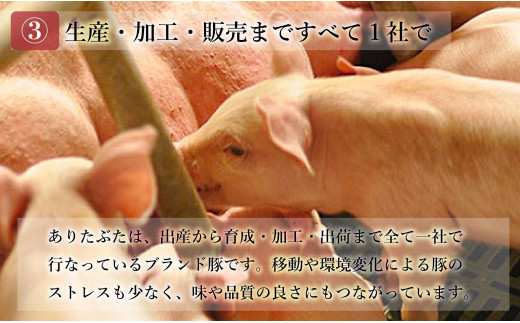 【12回定期便 総計50.4kg】 ありたぶた 3種しゃぶしゃぶセッ