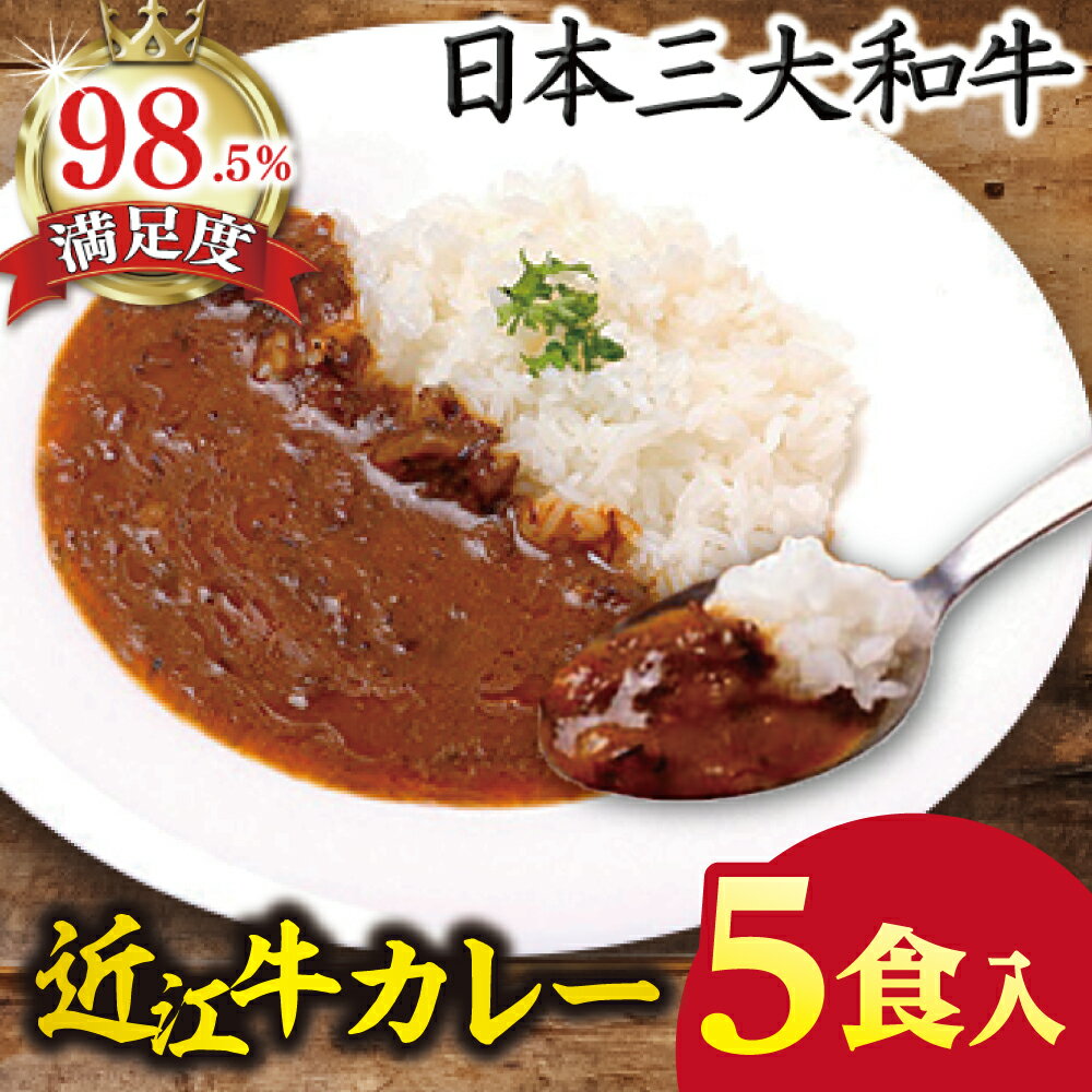 【ふるさと納税】近江牛カレー 1000g（200g×5パック） 国産 牛肉 近江牛 カレー 小分け キッチンパル 冷凍
