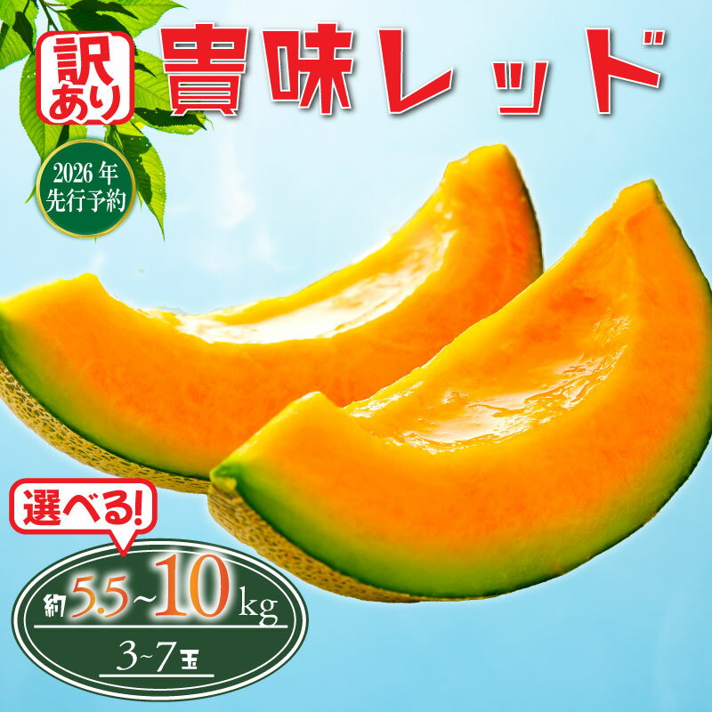 【ふるさと納税】 2026 年発送 訳あり メロン 先行予約 貴味レッド 赤肉 選べる 約5.5kg / 約10kg めろん melon 赤肉メロン タカミレッド 10000円 1万円 糖度 高級 果物 くだもの フルーツ 旬 贈答 ギフト 贈答用 プレゼント 産地直送 送料無料 千葉県 旭市 たかの果樹園