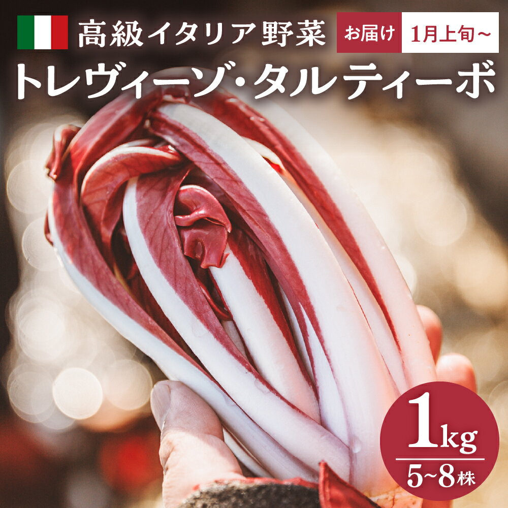 【ふるさと納税】【高級 イタリア野菜 1kg・レシピ付き】トレヴィーゾ・タルティーボ 5～8株入り 山形県 河北町産【かほくらし社】