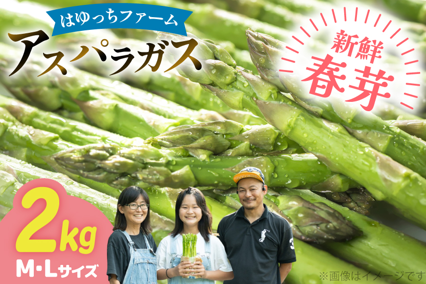 アスパラ アスパラガス 春芽アスパラガス 2kg M L サイズ混合 [はゆっちFARM 長崎県 東彼杵町 hs42bag360014] アスパラ あすぱら 新鮮 春