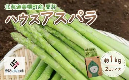 《令和8年産》夏芽 アスパラガス 2L 約1.0kg アスパラガス [発送7月]  AF016