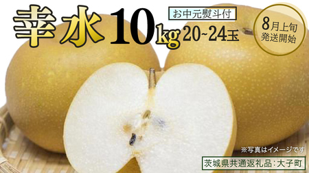 【 お中元 熨斗付き 】 幸水 約10kg (20～24玉)【2026年8月上旬発送開始】(茨城県共通返礼品：大子町)