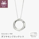 【ふるさと納税】 ネックレス ペンダント ジュエリー レディース アクセサリー ダイヤモンド 0.07ct プラチナ Pt950 Pt850 スライドチェーン ギフト プレゼント 箱ケース付 保証書付 k188-171