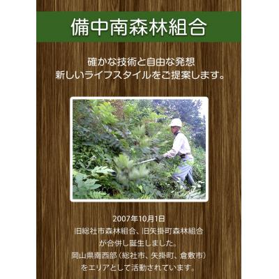 ふるさと納税 矢掛町 やかげの「原木乾燥しいたけ」300g 岡山県矢掛産《30日以内に出荷予定(土日祝除く)》 |  | 02