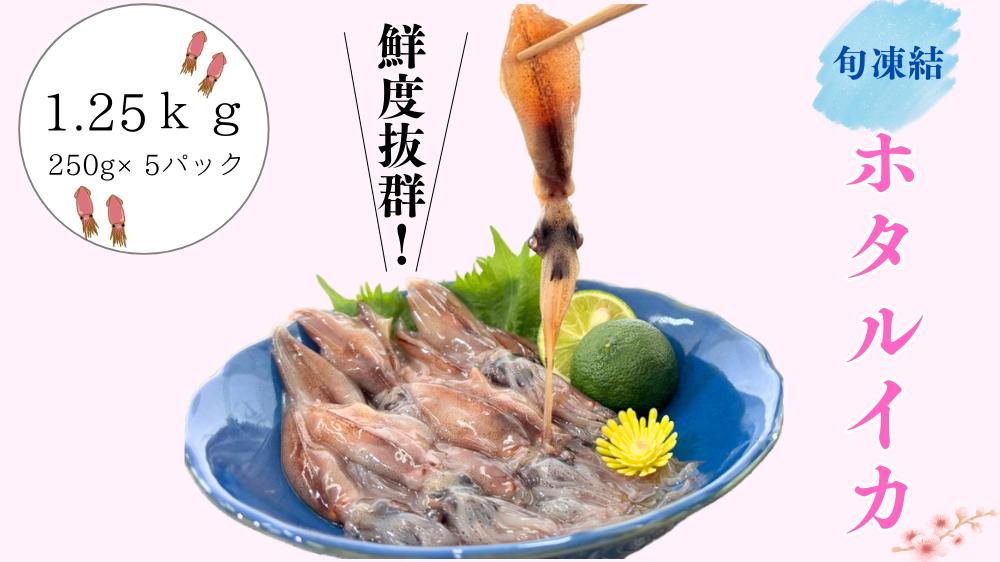 
旬凍結ホタルイカ　約250g×5パック　＜3D凍結＞【1091431】
