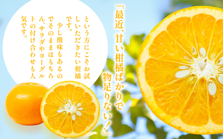 【訳あり】浅野農園のサンフルーツ 10kg ※離島への配送不可 IKTAC011