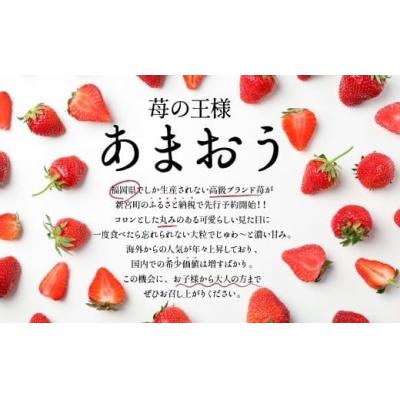 ふるさと納税 新宮町 あまおう約1,080gといちじく約1kgのセット【あまおう】【とよみつひめ】.BB038 |  | 01