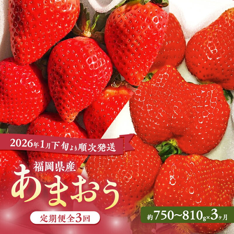 【ふるさと納税】あまおう 定期便 3回 【2026年1月下旬より順次発送】【3ヶ月定期便】あまおう 3パック×3回 イチゴ 苺 いちご 果物 福岡県産 ※配送不可:北海道・沖縄・離島　お届け：2026年1月下旬～2026年4月中旬