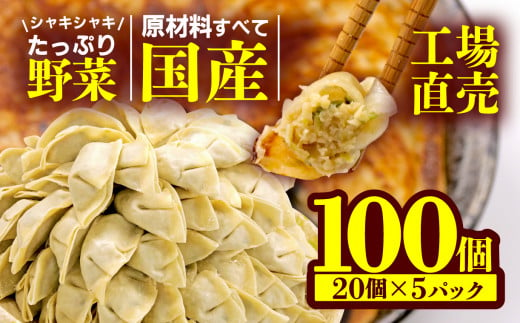 餃子 野菜 100個 20個 5パック ジューシー 冷凍 食品 小分け 松福 国産 豚肉 おつまみ