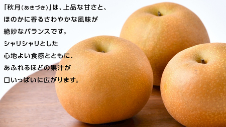 あきづき 梨 10kg （18～24玉）【2026年10月より発送開始】（茨城県共通返礼品 [梨]：大子町産）