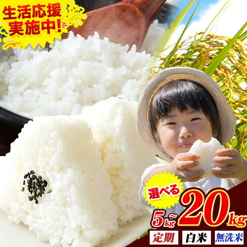 【ふるさと納税】 無洗米 も選べる 熊本県産 肥後清流米 5kg 10kg 15kg 20kg 定期便 も選べる 熊本県産 ふるさと納税 無洗米 白米 精米 米 こめ ふるさとのうぜい コメ お米 おこめ《出荷時期をお選びください》