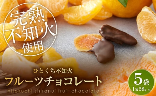 
ひとくち 不知火 フルーツ チョコレート 5袋（1袋×58g入）ドライフルーツ
